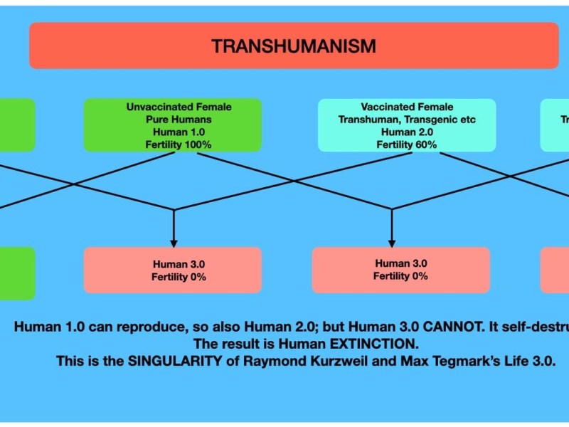 TRANSHUMANISM&nbsp;