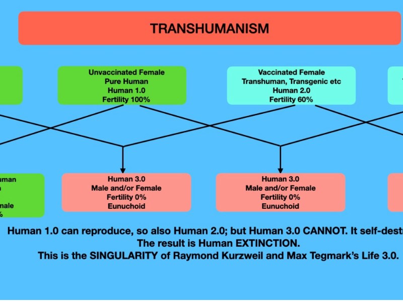 CYBORGS AND HUMAN&nbsp;AUGMENTATIONS